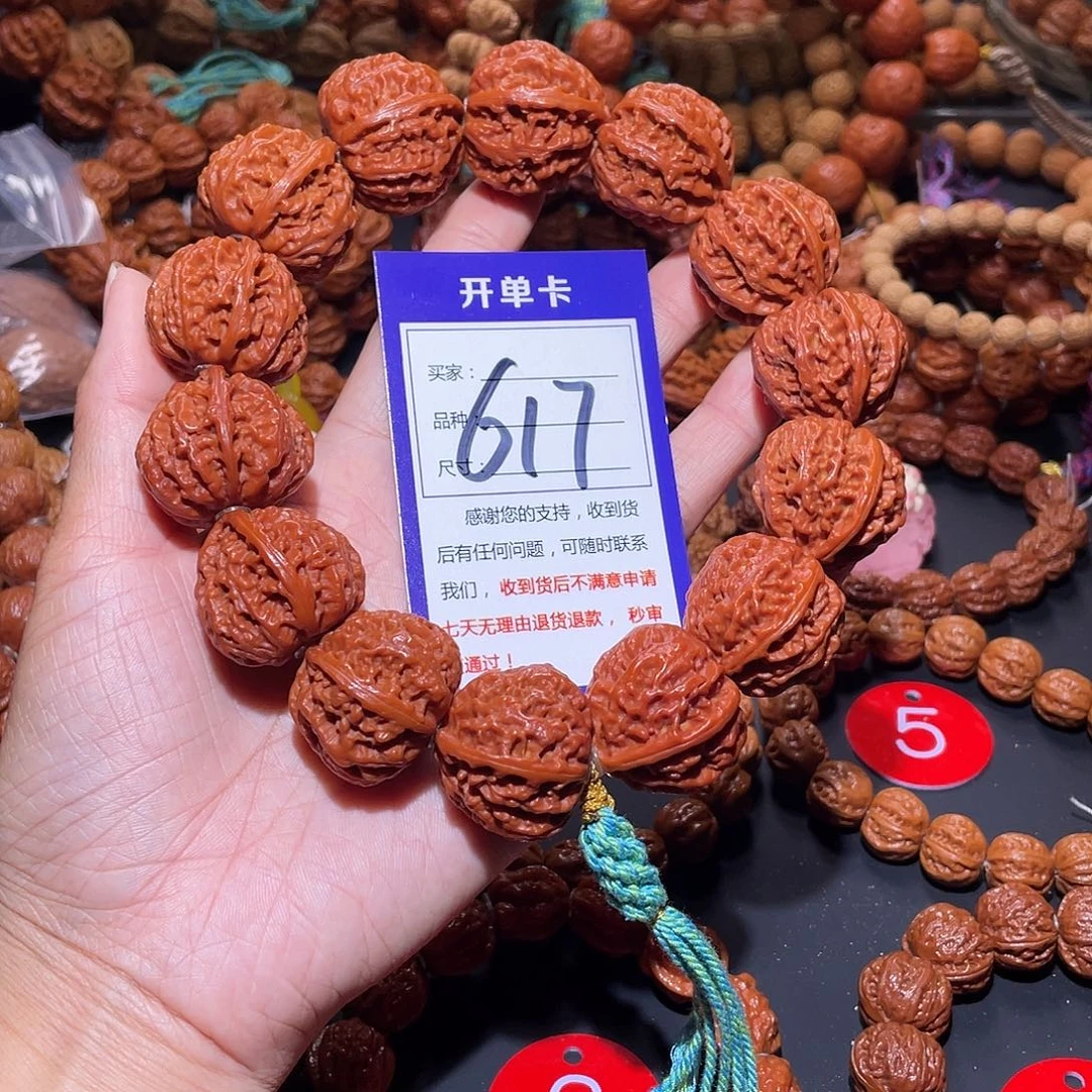 617秋子红皮龙脊京八棱20