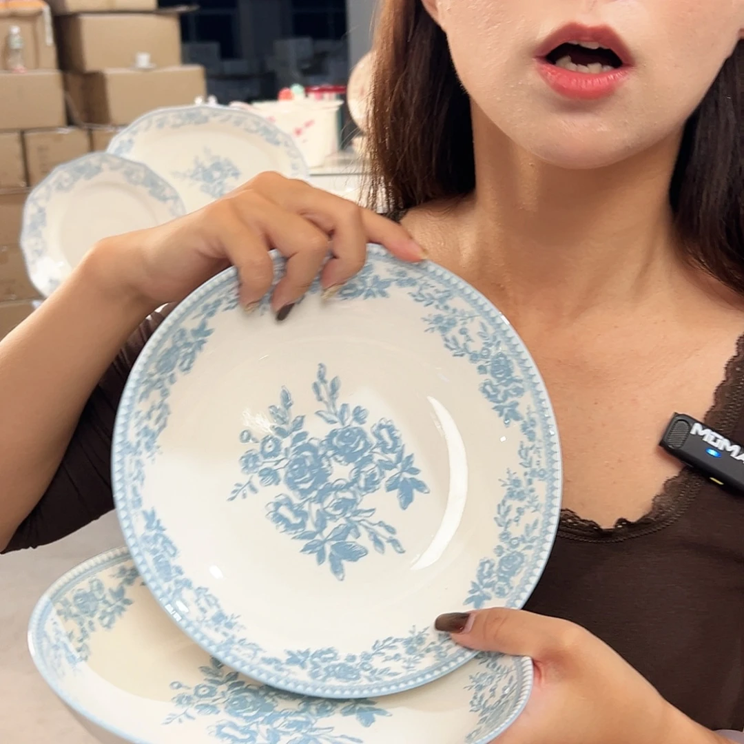 潮州微瑕陶瓷餐具8寸
