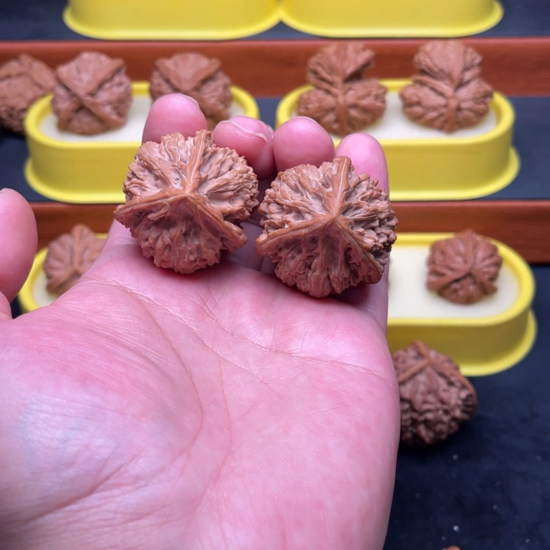 手串/手链核桃玉龙粗筋正奔40