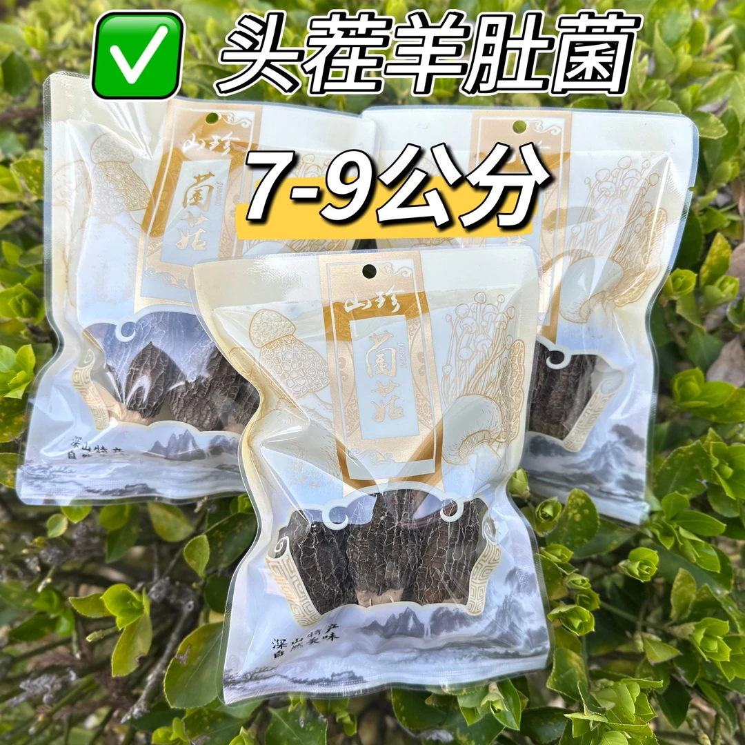 2025年头茬高山羊肚菌原产地7-9公分特价25g饱满营养美味鲜美
