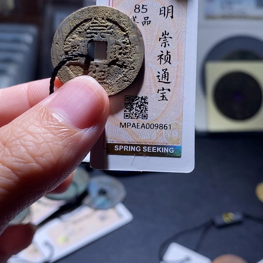 贝壳30 恭喜发财恭喜发财