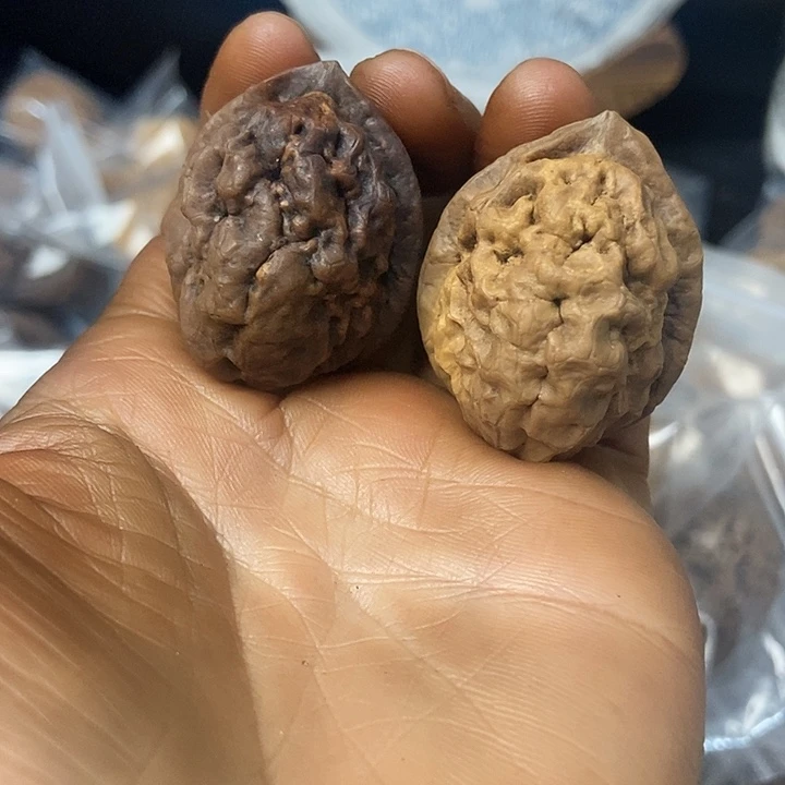 把件文玩核桃云南铁核桃基地40