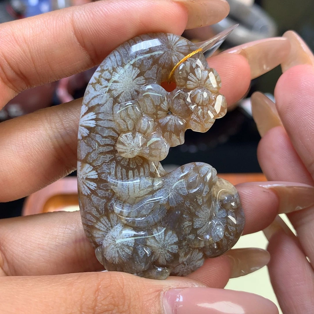 【闪购商品】颈饰未镶嵌硅化珊瑚（珊瑚玉）22号