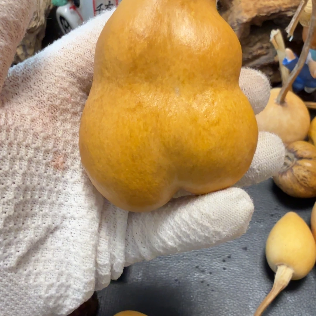 Y****66666667676666666