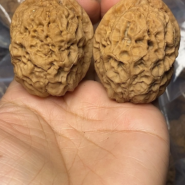 文玩核桃把件云南铁核桃65