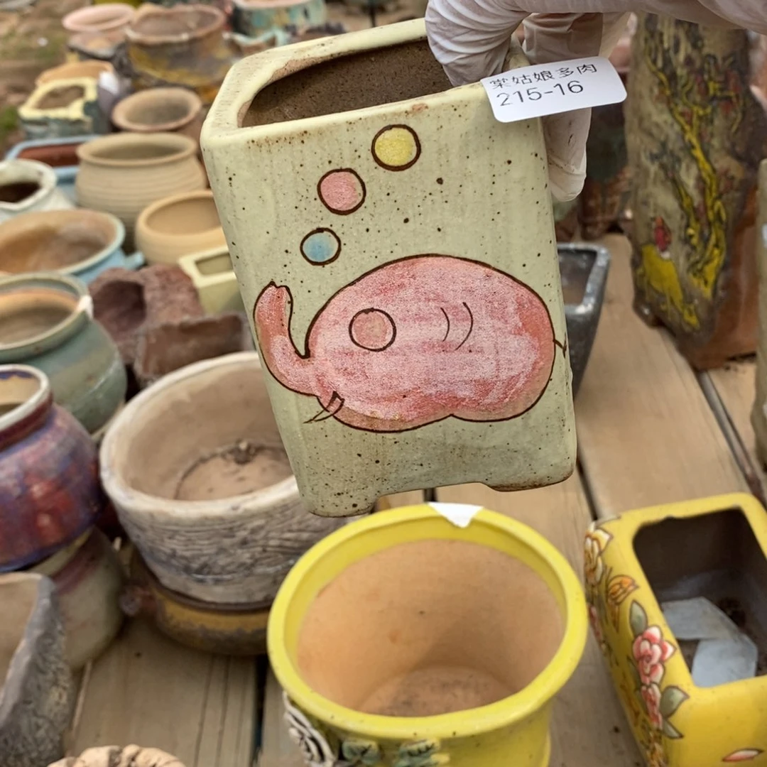 红陶久****?16号多肉盆一个呀