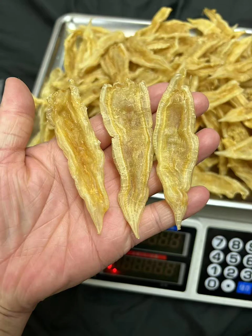 深海双背鱼胶花胶 滋补营养炖汤佳品