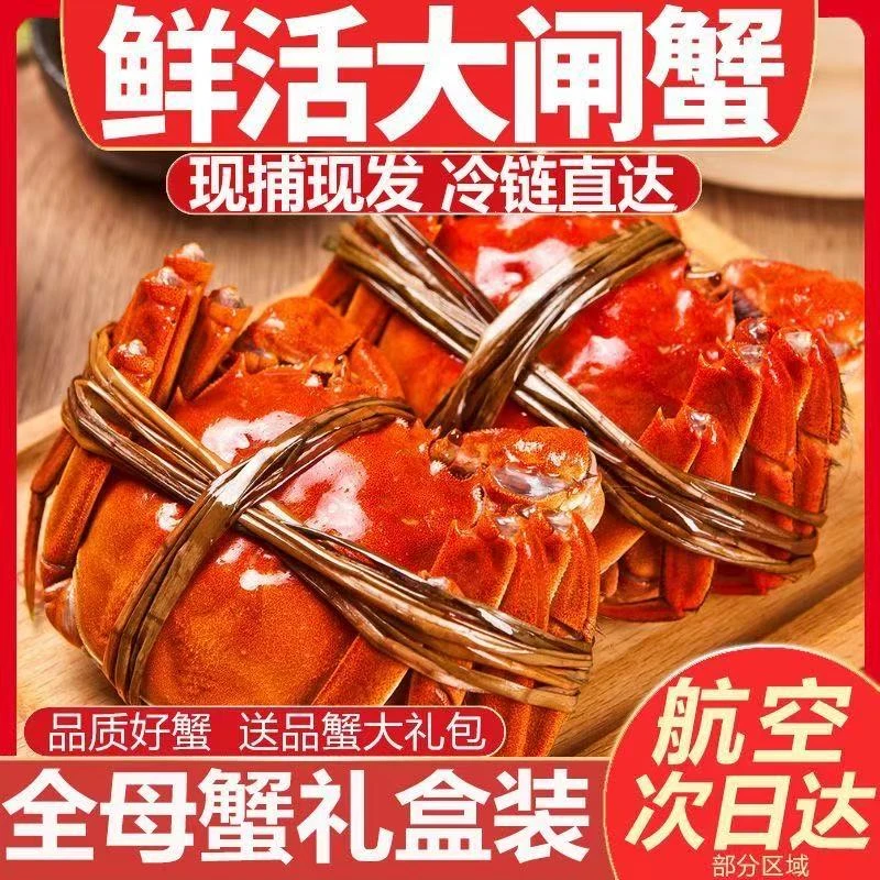 【活蟹现发】鲜活大闸蟹 全公3.6-3.3两到手8/10只何