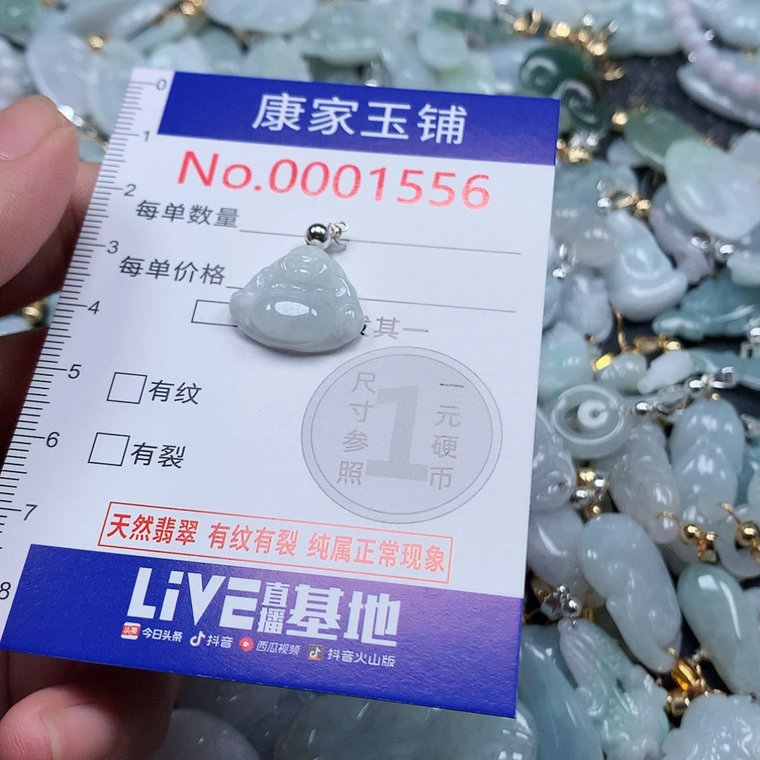 颈饰未镶嵌翡翠t