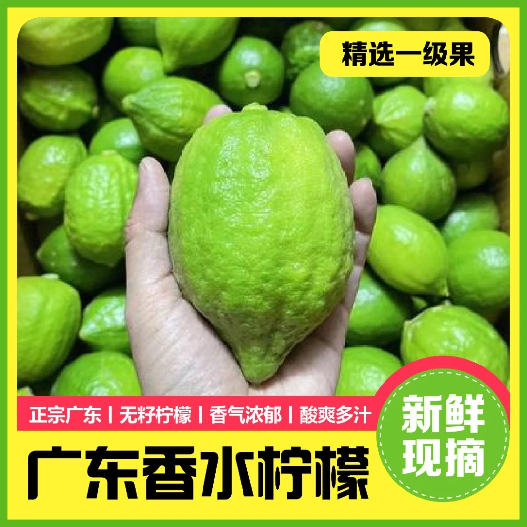【当日现摘】广东香水柠檬多汁新鲜香柠檬果奶茶店暴打柠檬茶原料