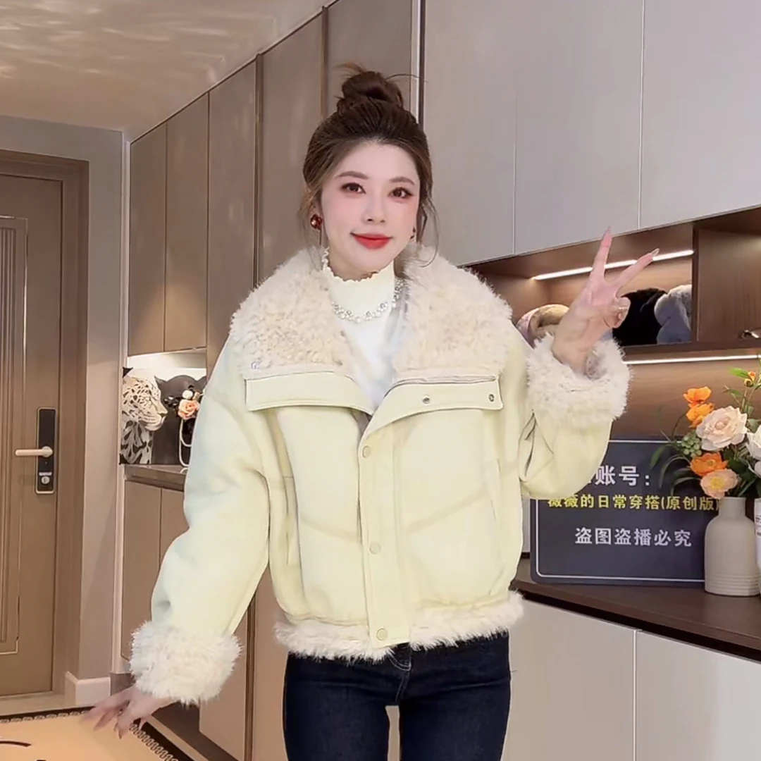 C565翻领冬季通勤短外套韩版女短款女士毛领外套1023HC565