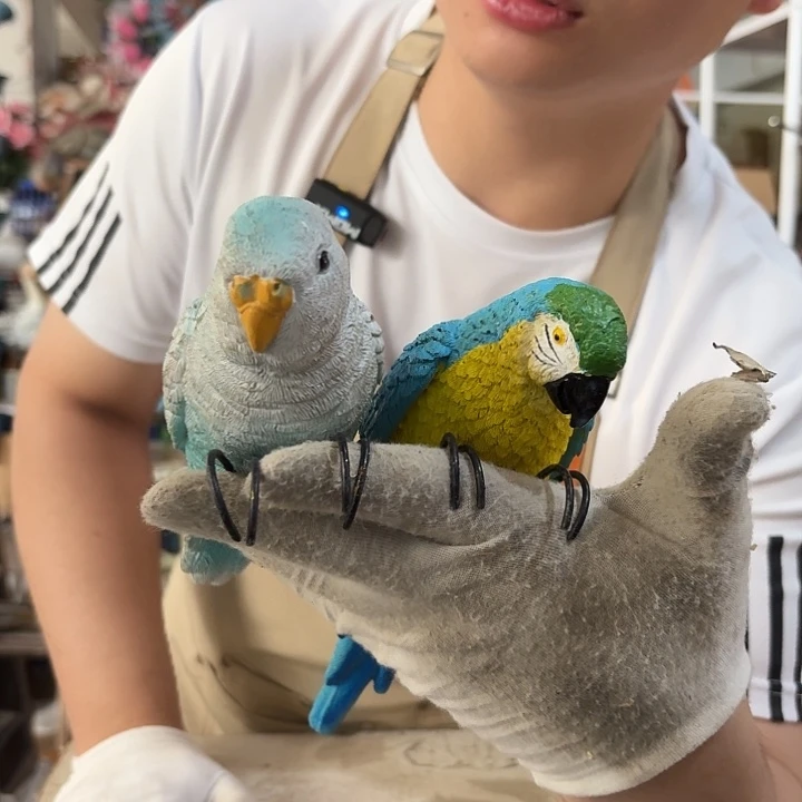 核桃木/黑胡桃（胡桃木）