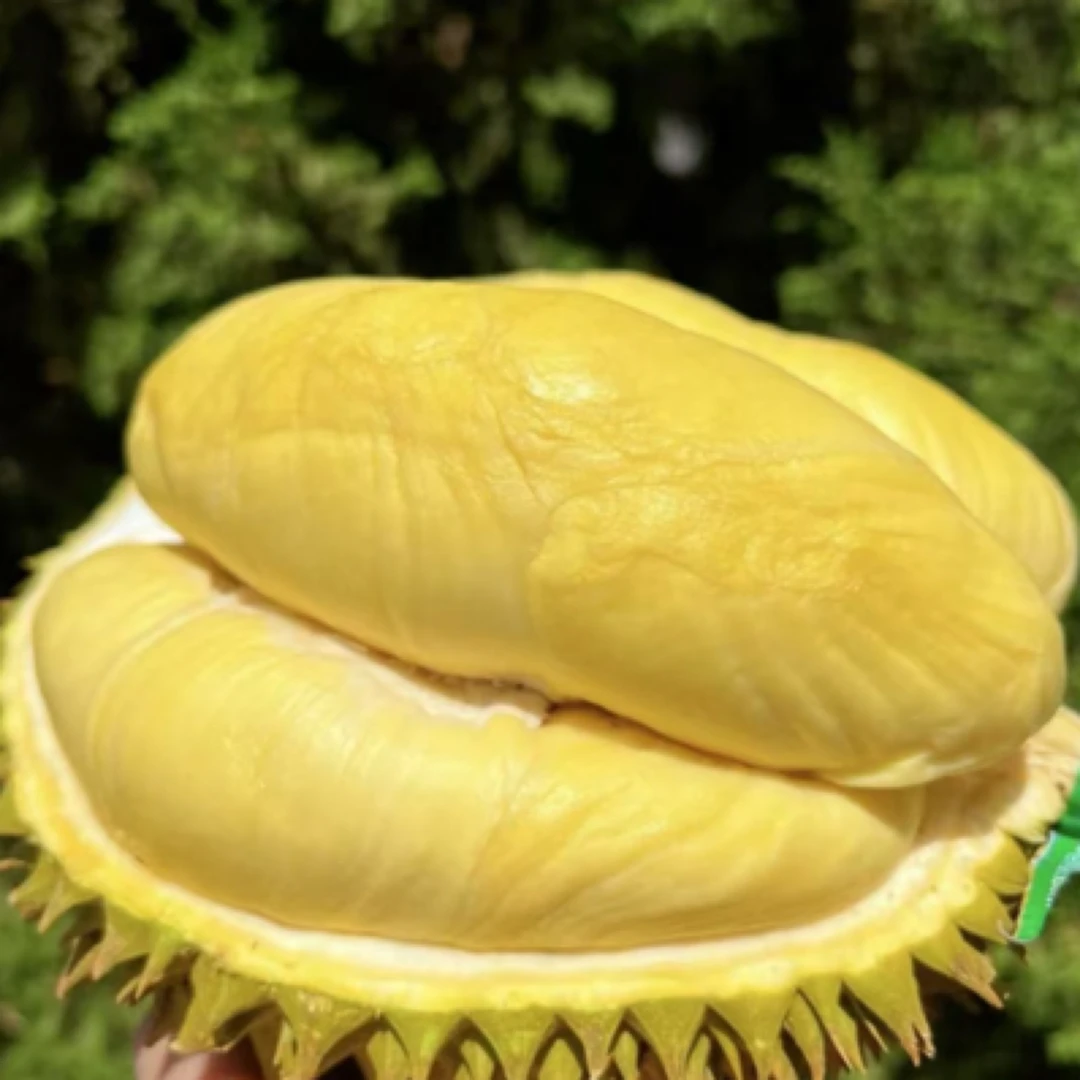 同城小时达 2斤偏软糯口感 泰国鲜榴莲金枕核小（不包售后）金枕泰国