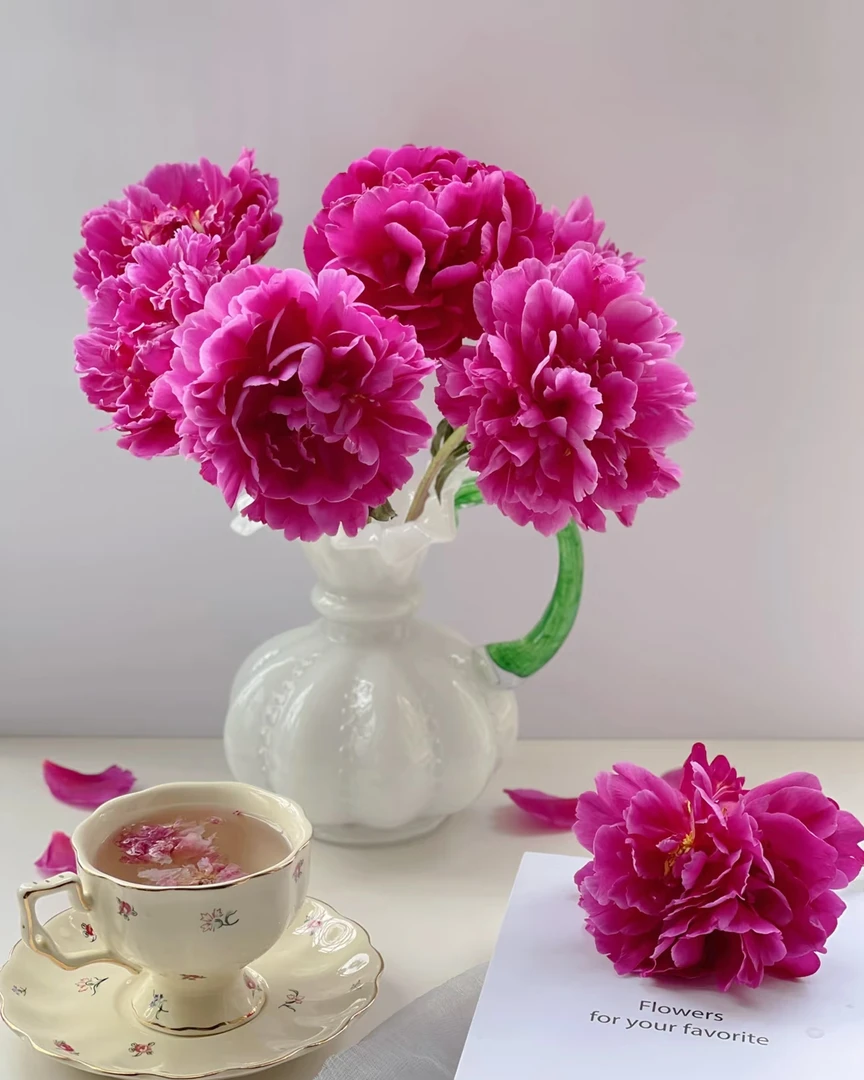 顺丰速运【紫色魅力】芍药鲜切花重瓣新鲜水培母亲节菏泽基地直发