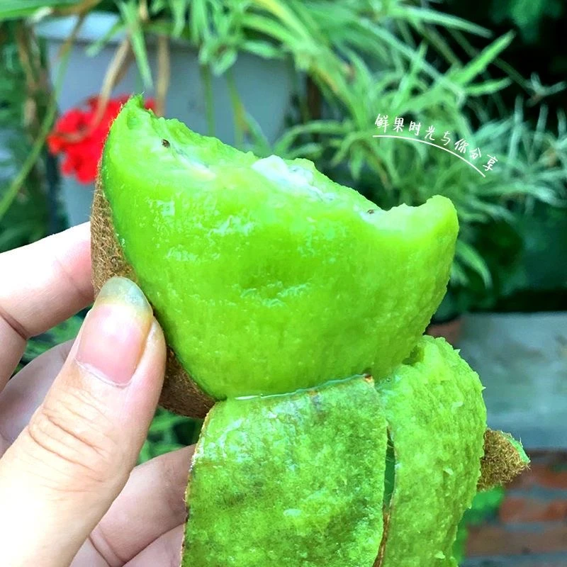 陕西徐香绿心猕猴桃新鲜水果香甜多汁现摘现发