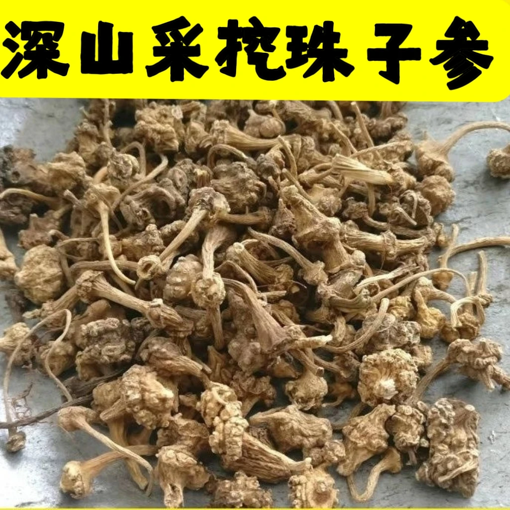药声录 珠儿参 珠子参 扣子七 钮子七 鞭三七 珠儿参