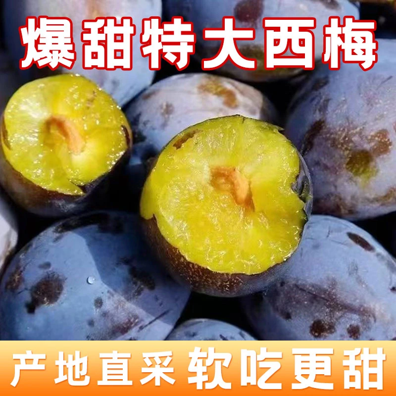 高山西梅当季水果新鲜现摘