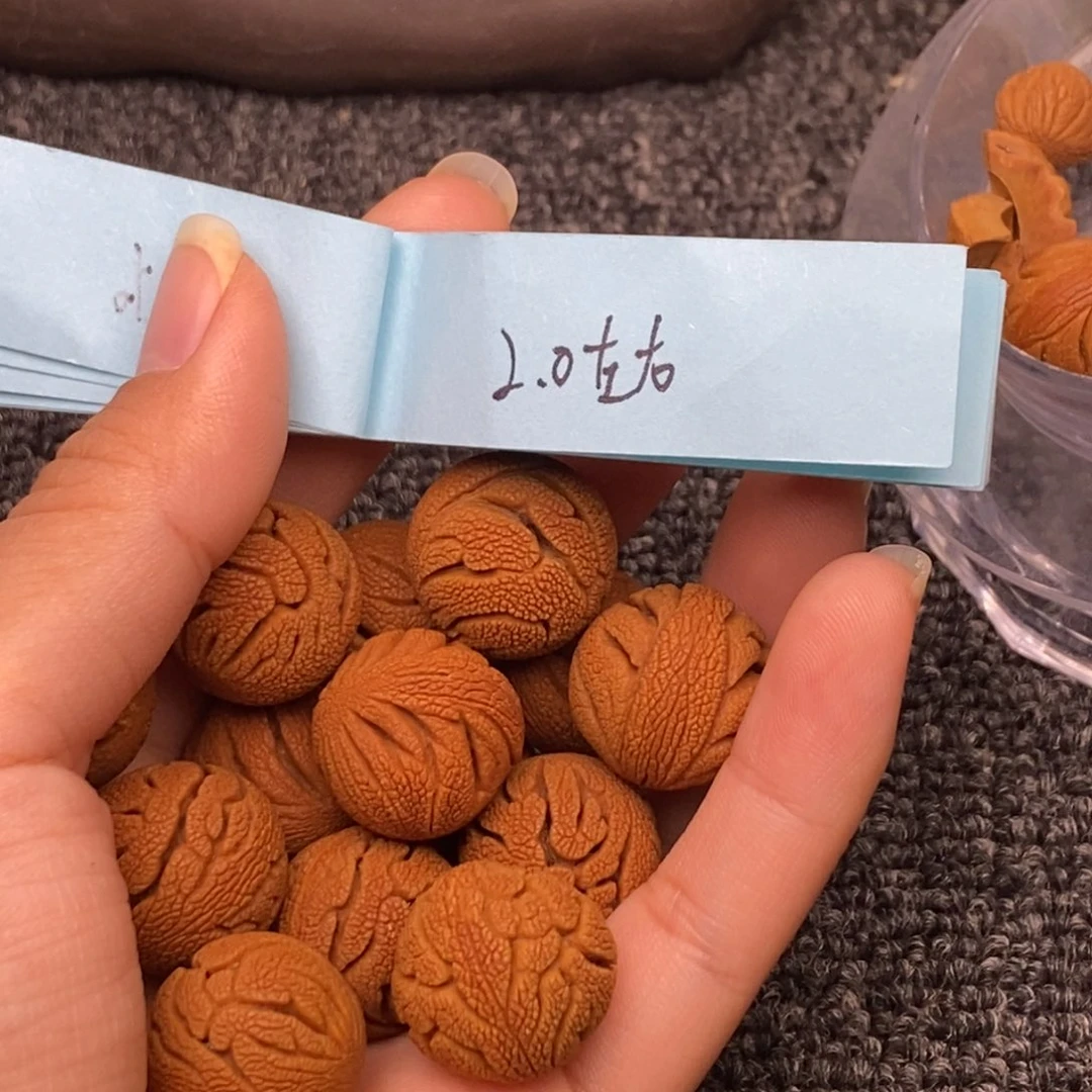 秦岭山脉龙纹桃核13k