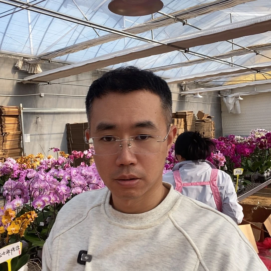 阿***噢完全开放博洛尼亚➕安汶微瑕组合