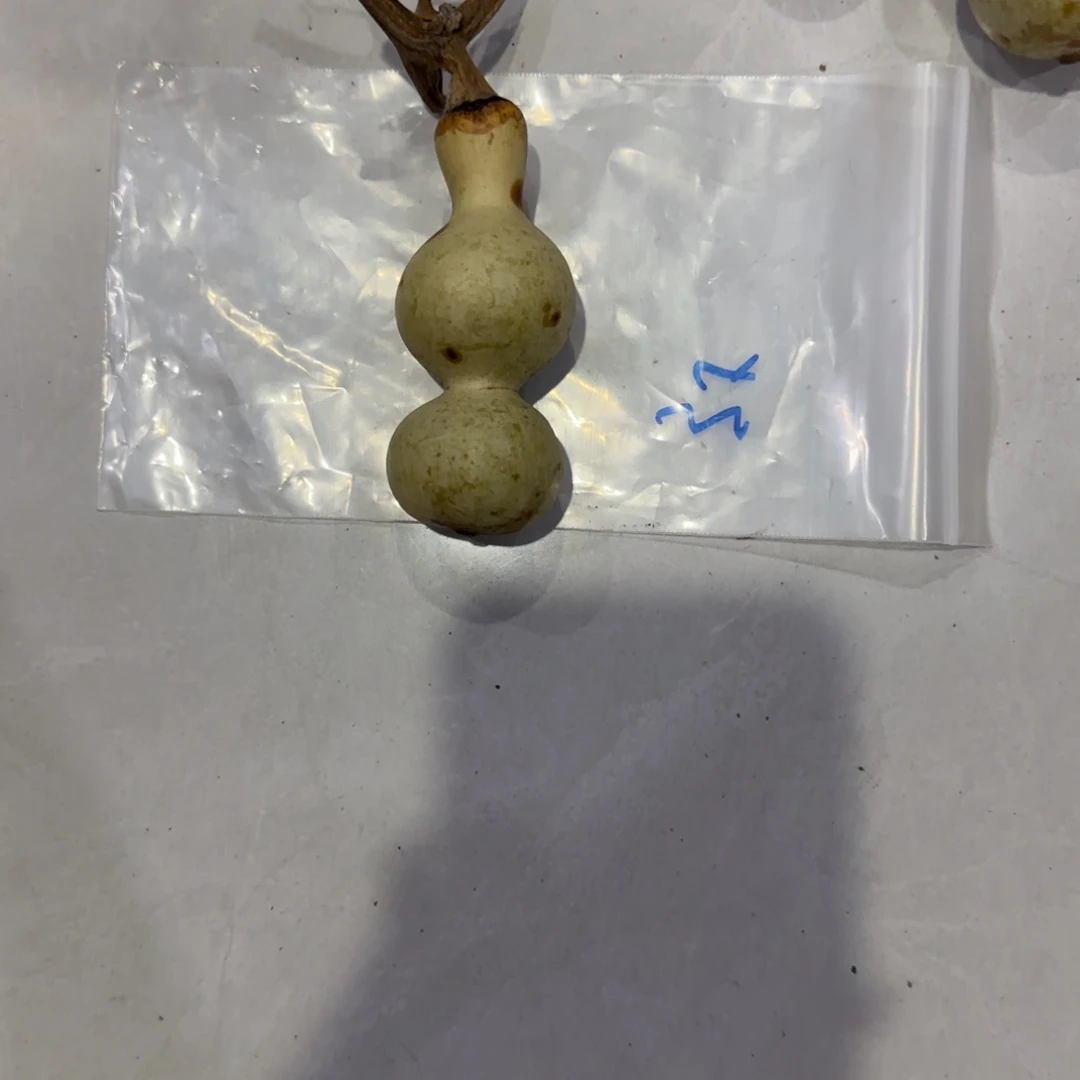 马***特青皮不包成青皮不包成