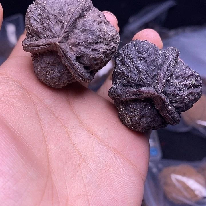 把件文玩核桃  200