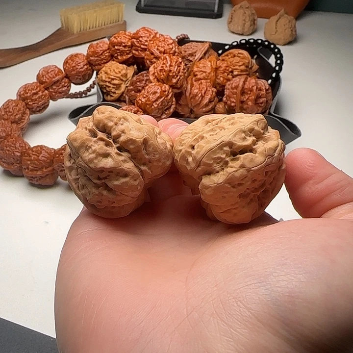 39-41-35肌肉蛙开背C34号