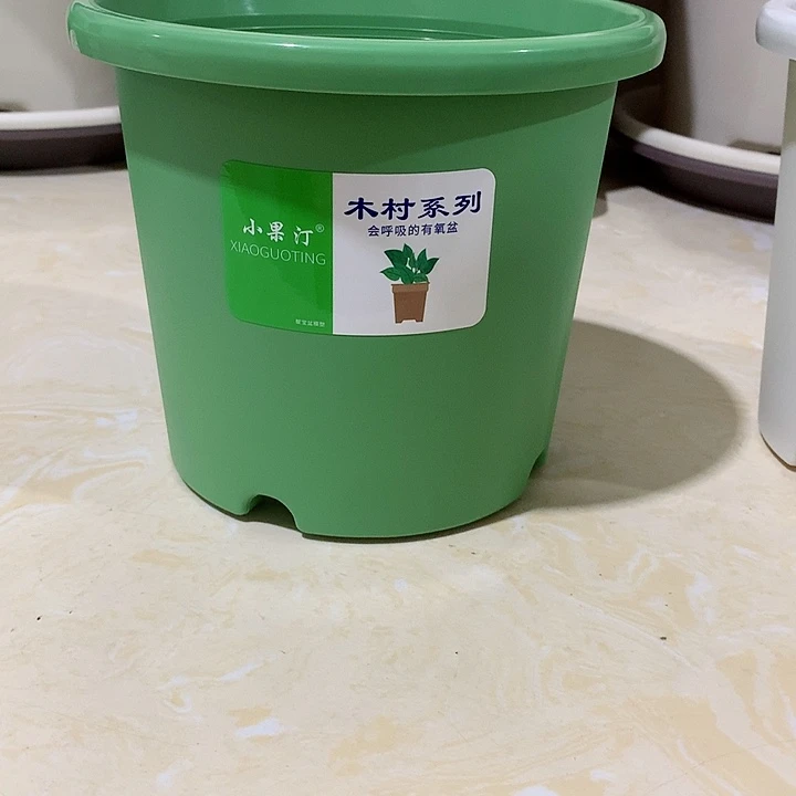 小果汀17口绿10个无托