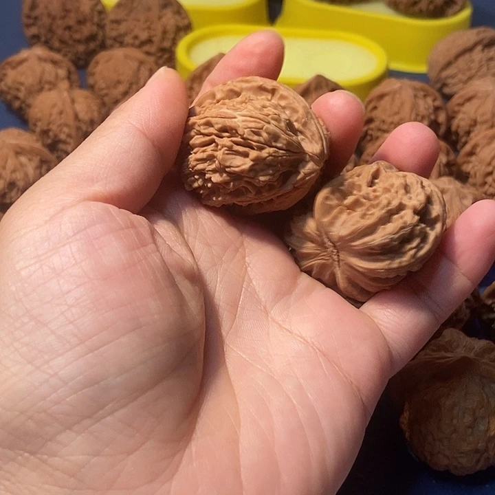 记***笑文玩核桃  白狮子半臂