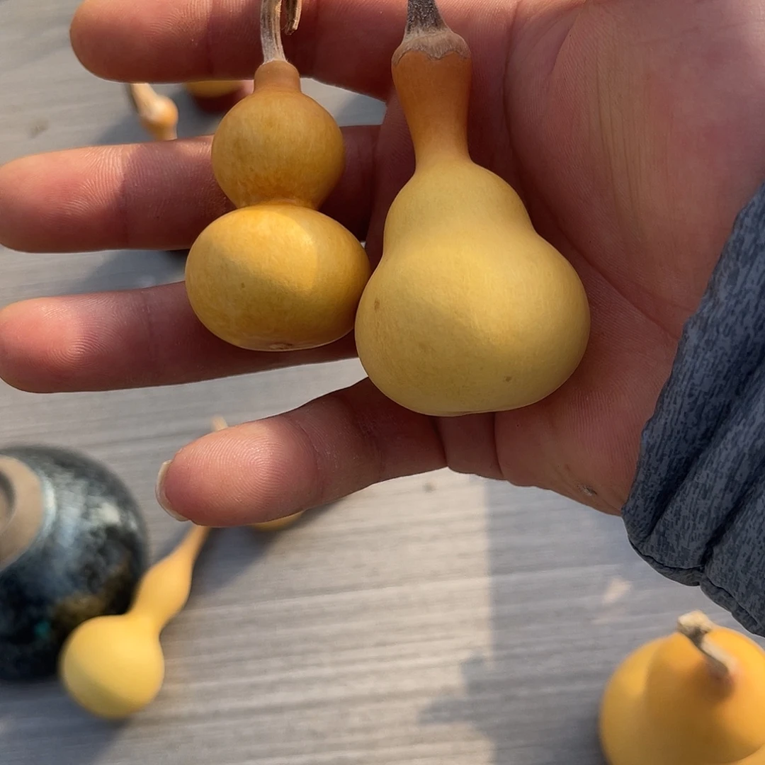 蜡***胡哈哈哈哈哈哈哈哈哈哈哈哈