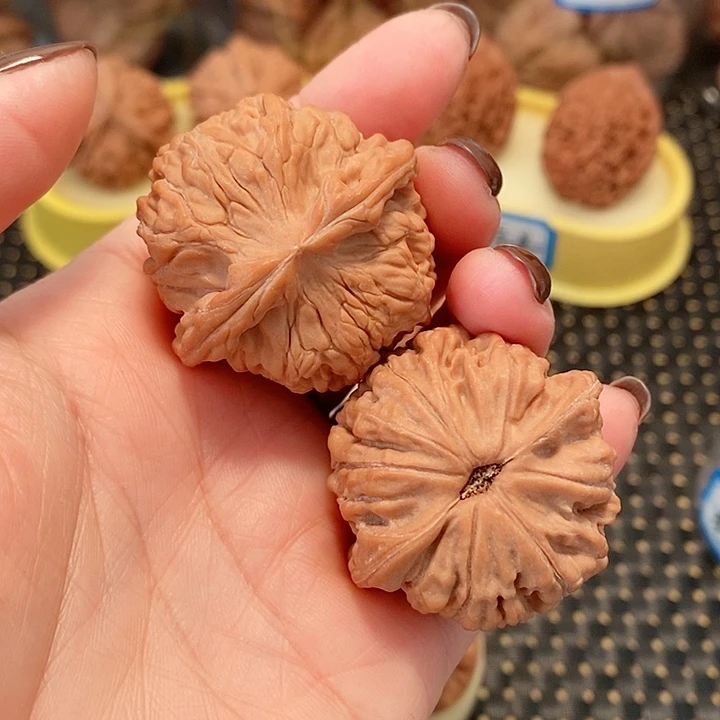 核桃手串/手链38尺寸天地