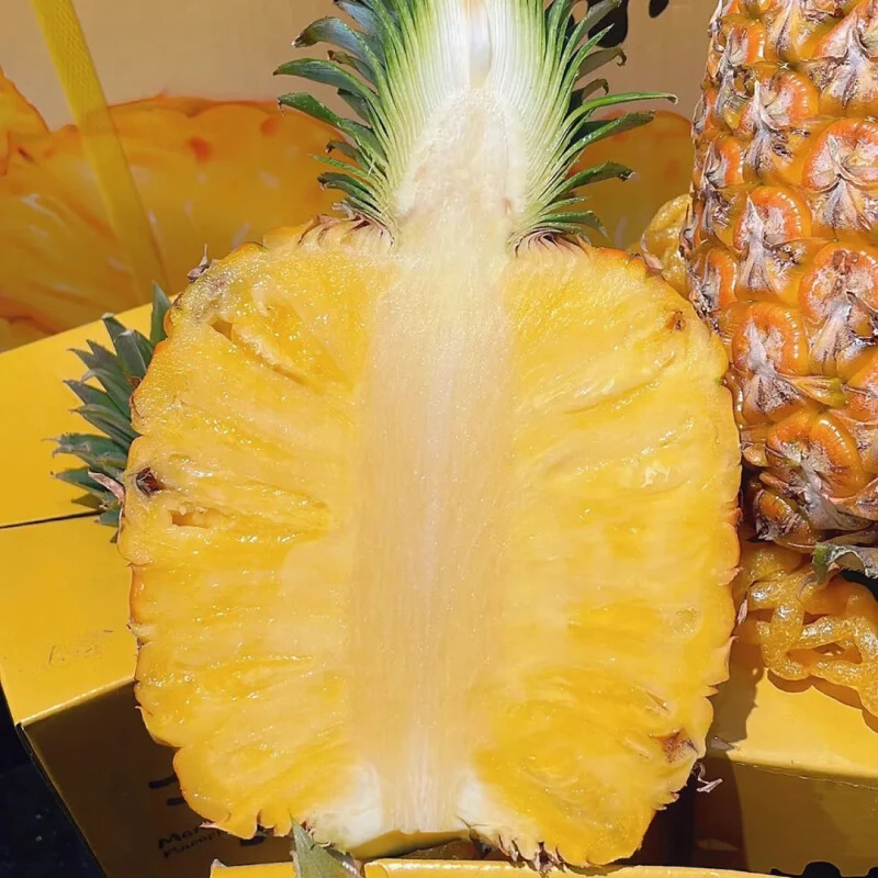 海南树上熟芒果凤梨应季菠萝香甜美味 5斤  大果 AB