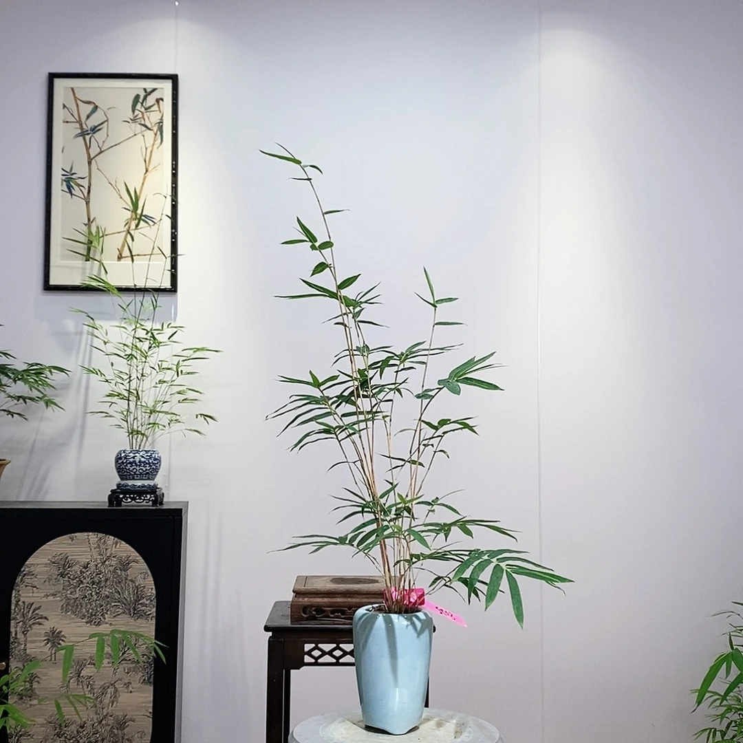 手工艺品琉璃竹子盆景一物一拍
