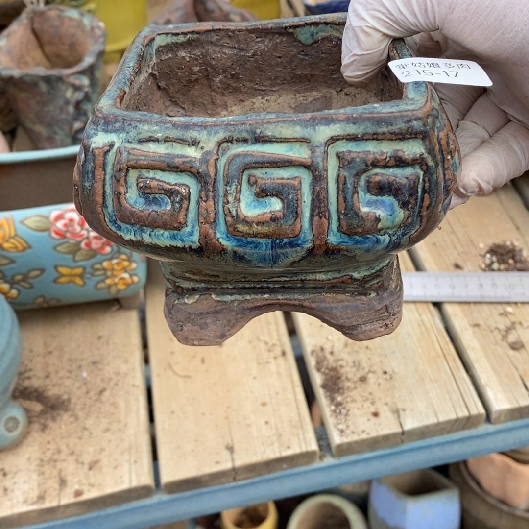 红陶闪***爱17号多肉盆一个呀