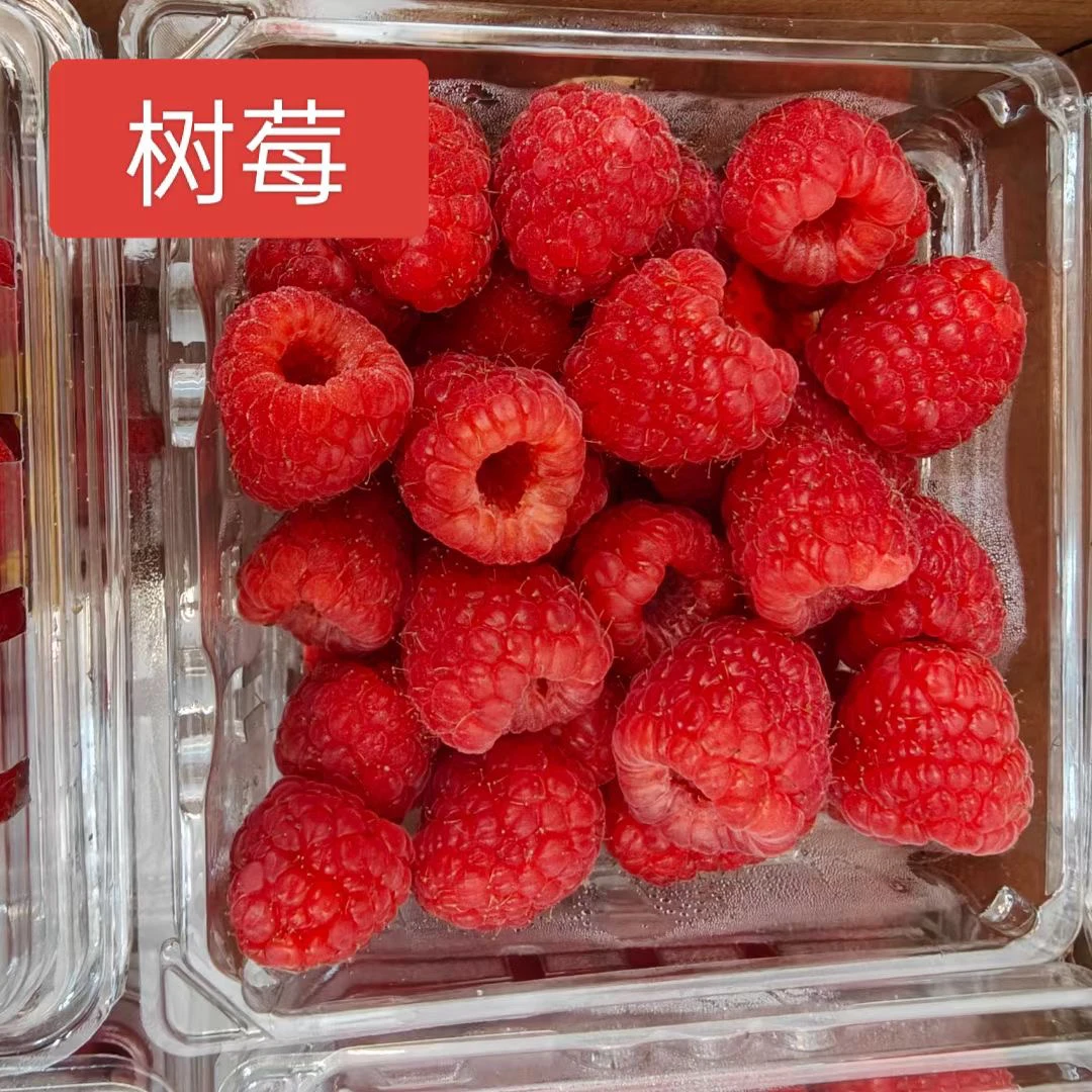 当季新鲜树莓鱼腥草当天现发货