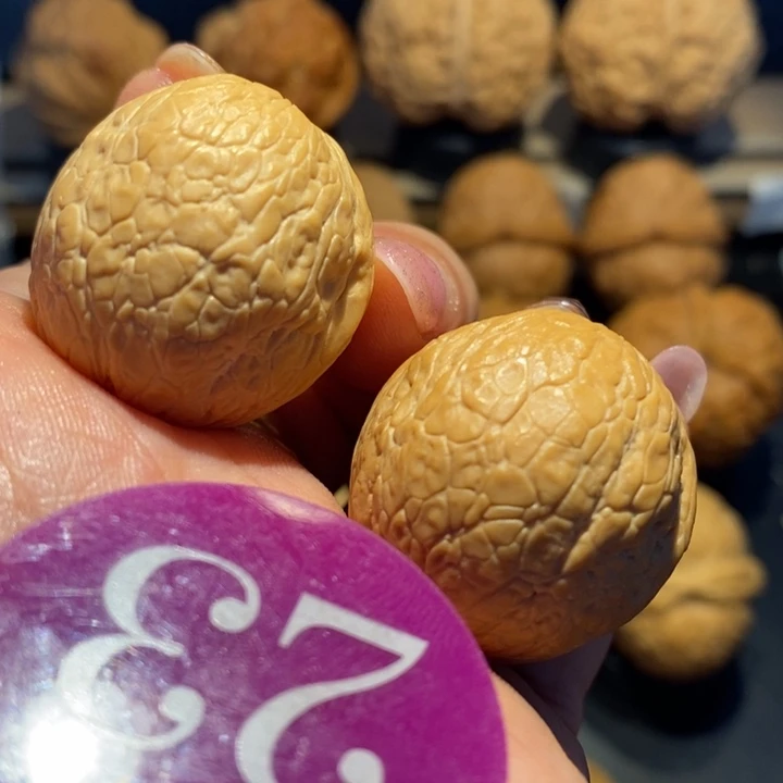 蛇皮球核桃尺寸29