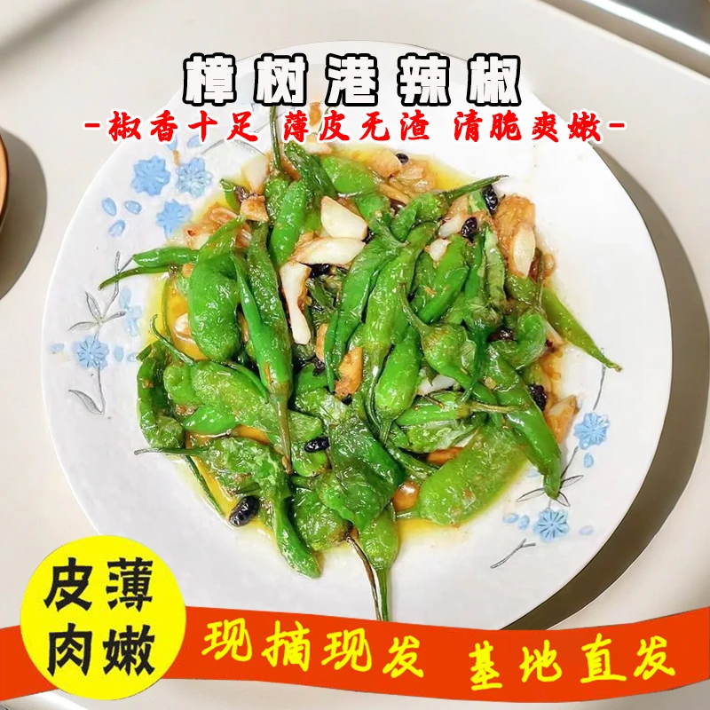 【正宗樟树港原种辣椒】精选湖南特产薄皮清香软香产地采摘