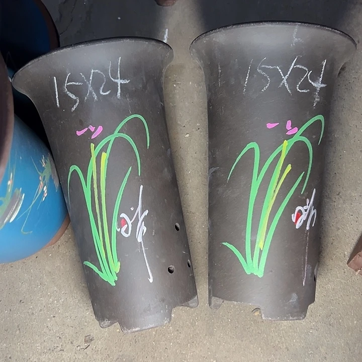 周深周深周深周深周深