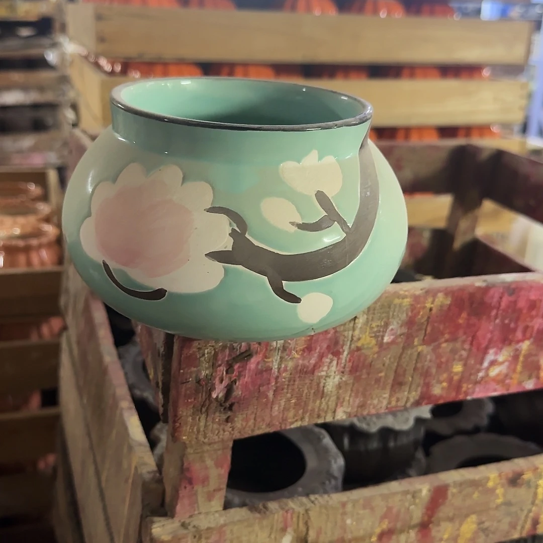 福利局绿植多肉盆［凑9元包邮24小时发］2505