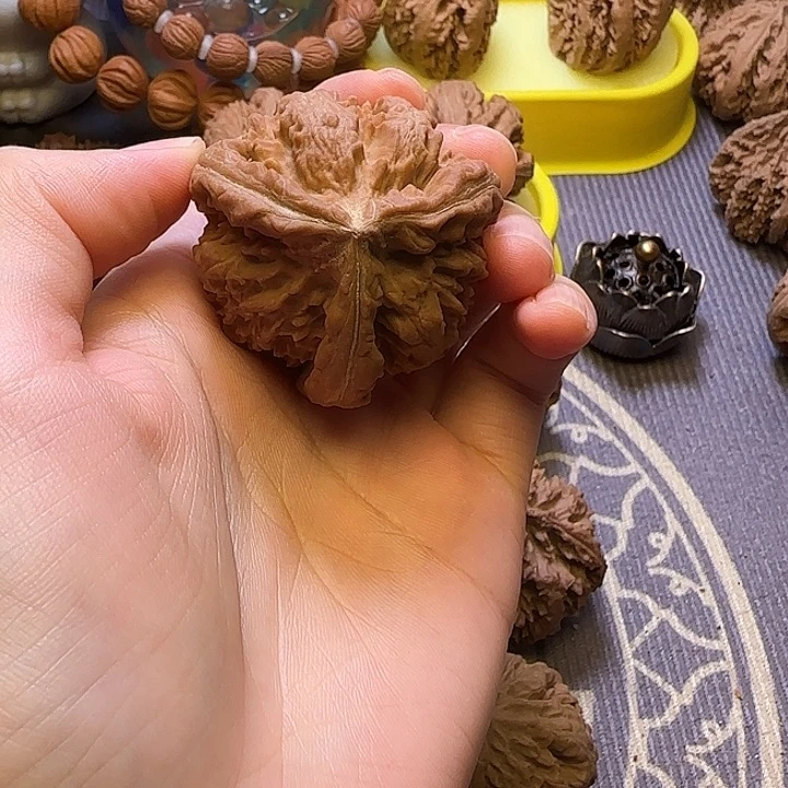 江***痴把件文玩核桃核桃单只  正奔