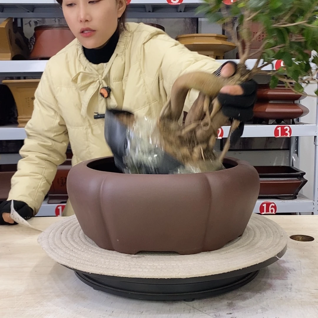 花盆紫砂紫砂花盆