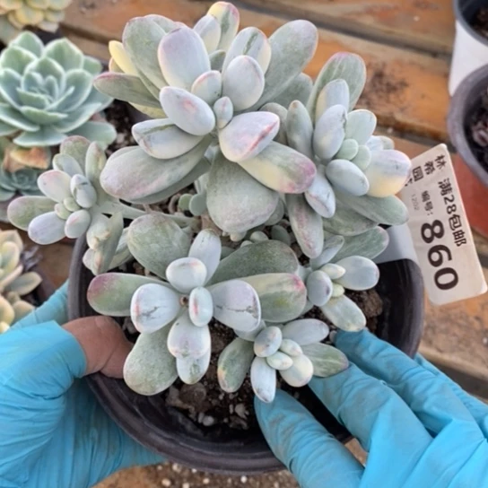 860一一一一一一一一一