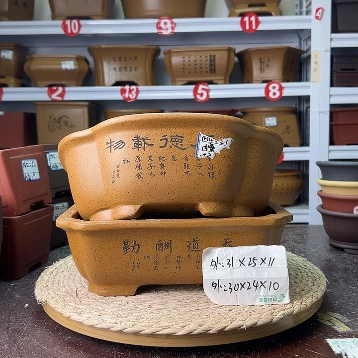 紫砂花盆蛇年大吉