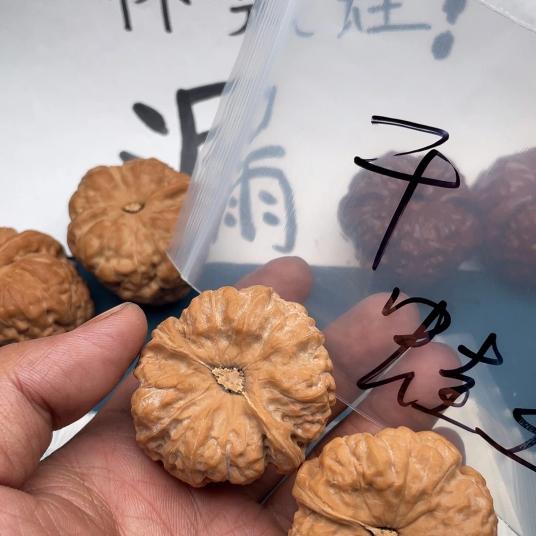 核桃.53753537573357573573753