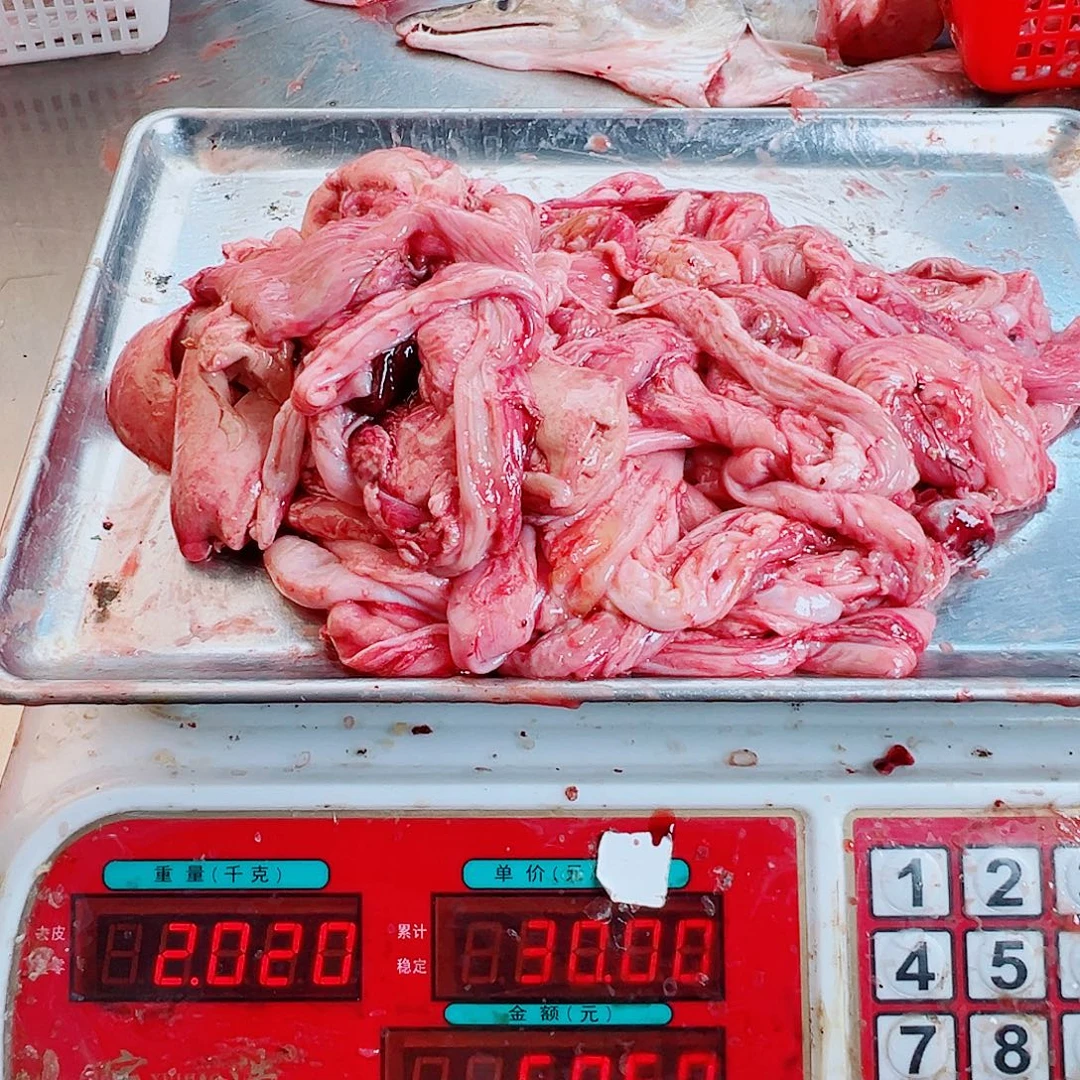 中国大陆鳗鱼鱼杂