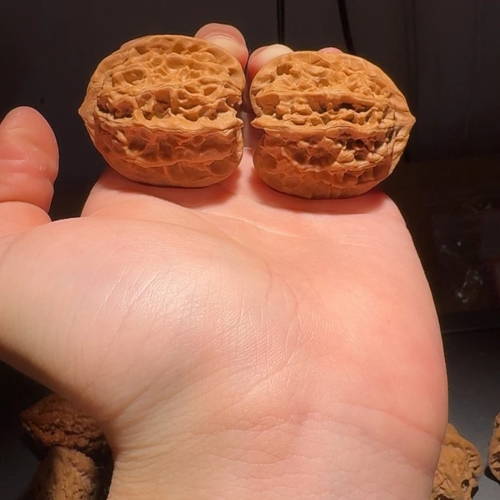 磐石狮子头40货头对