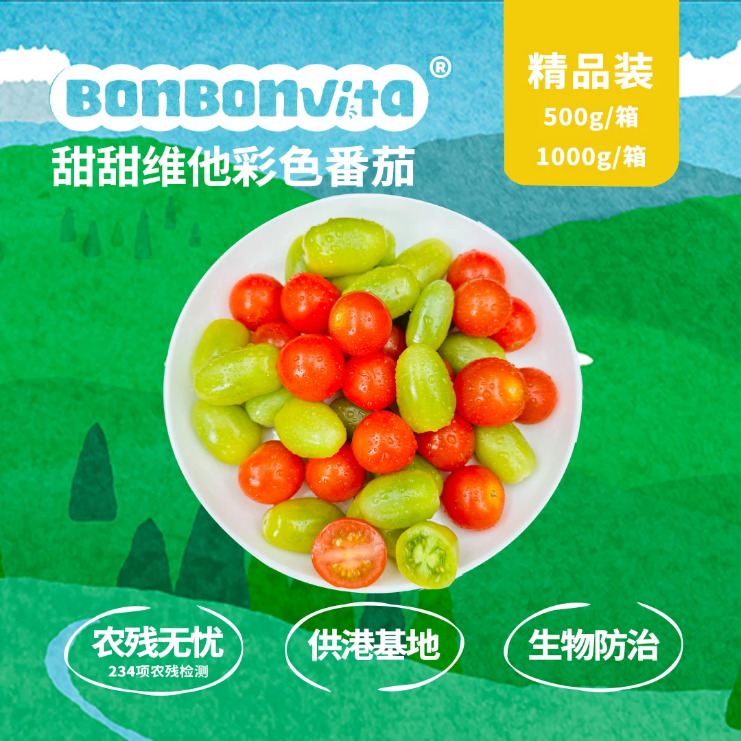 BonBonVita【多巴胺】双色小番茄  清新口感香甜脆爽一口爆汁