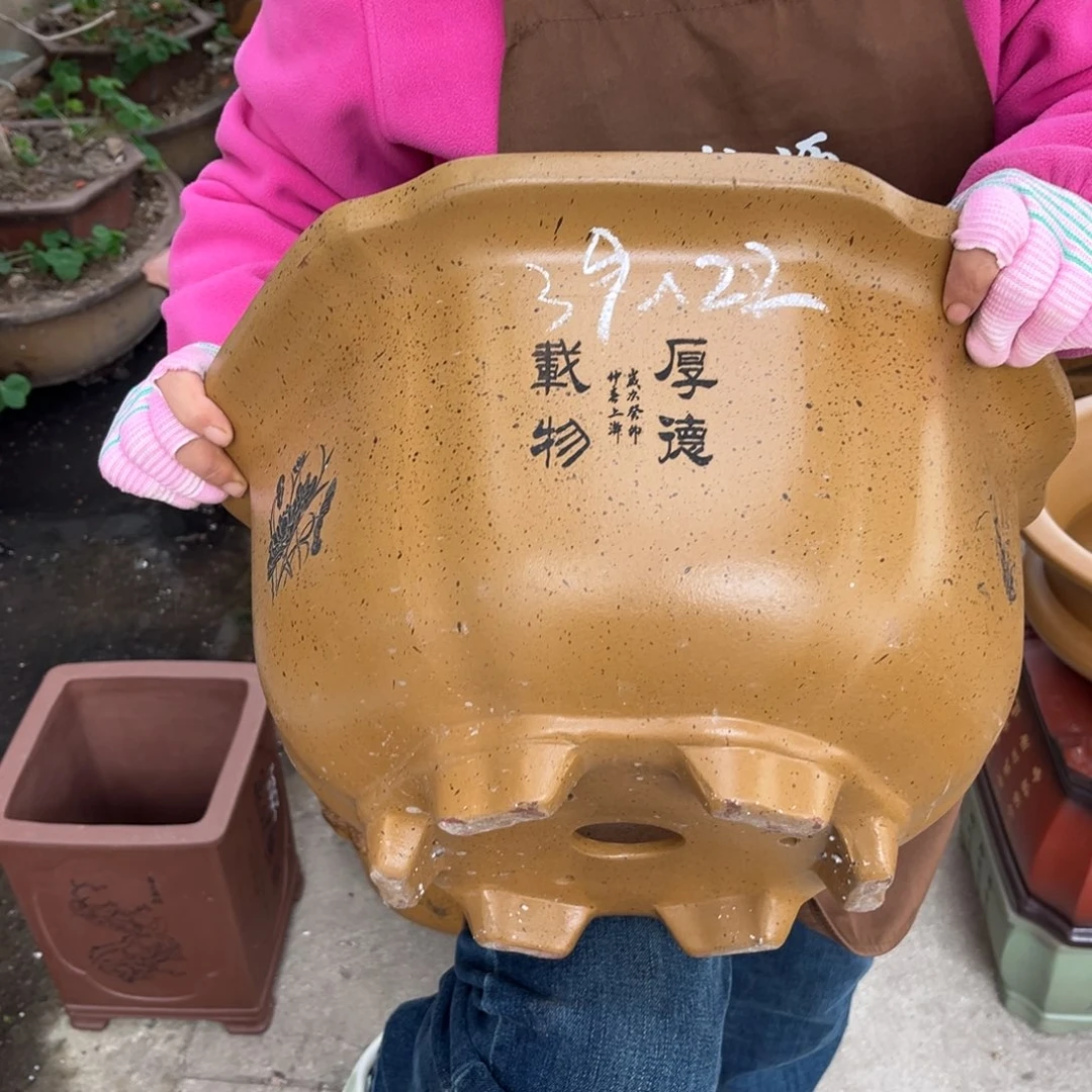 花盆紫砂盆景艺术