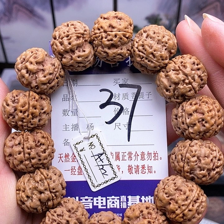 手串金刚菩提22双龙
