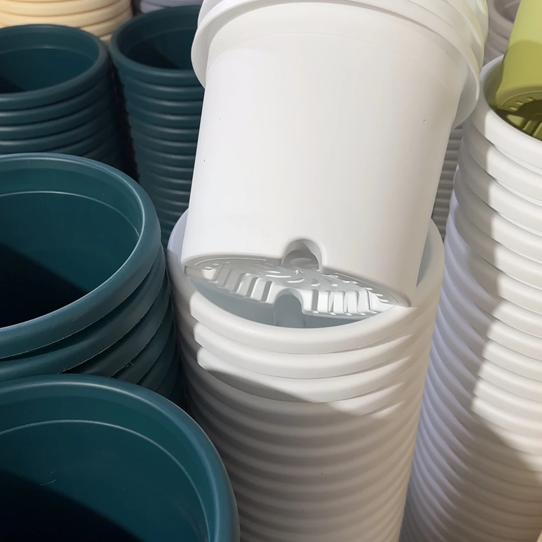 树脂四季3号带托10个白色