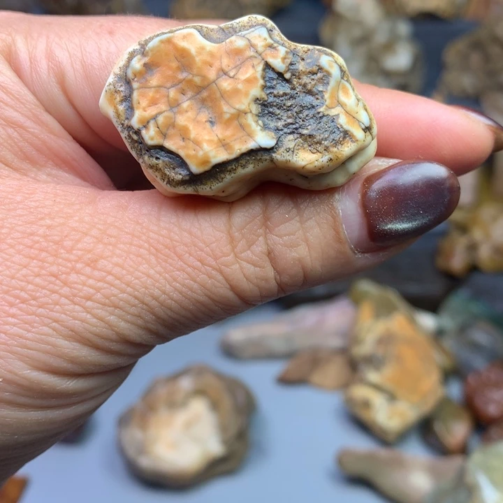 石材纯天然阿拉善戈壁石